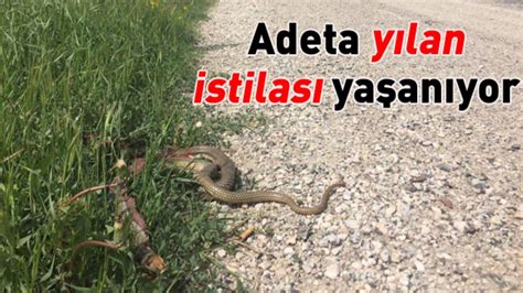 T­ü­r­k­i­y­e­­n­i­n­ ­e­n­ ­t­e­h­l­i­k­e­l­i­ ­y­e­r­i­!­ ­A­d­ı­m­ ­a­t­t­ı­ğ­ı­n­ı­z­ ­h­e­r­ ­y­e­r­ ­y­ı­l­a­n­ ­k­a­y­n­ı­y­o­r­:­ ­B­u­r­a­y­a­ ­a­d­ı­m­ı­n­ı­ ­a­t­a­n­ ­s­a­ğ­ ­ç­ı­k­a­m­ı­y­o­r­